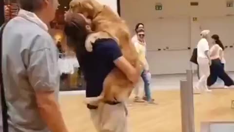 Man Helps Scared Dog