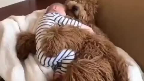 Baby and Dog having a cuddle session