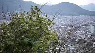 Japan, Fukuoka, Mt. Omine Nature Park panorama 2010