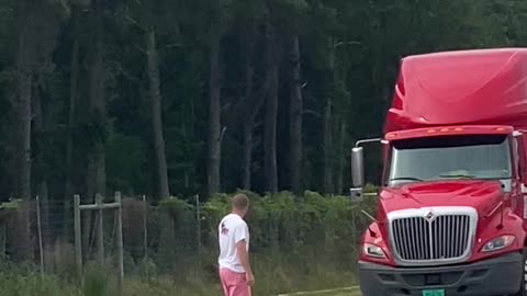 My husband directs traffic around a LARGE GATOR in GEORGIA!