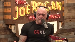 How Student Loans CRIPPLE Future Generations! Joe Rogan & Andy Stumpf #jre