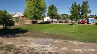 Graham Family Farm: Shade for the Livestock