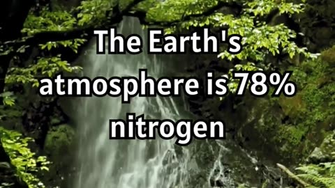 Unlocking Nature's Secrets- How Plants Utilize Earth's Nitrogen! 🌿✨