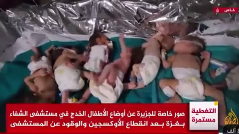 Premature babies at al-Shifa Hospital removed from incubators due to lack of electricity