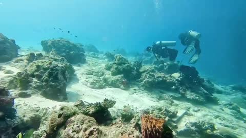 Cloud diving with Teacher Yun in Semporna