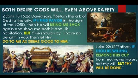 Prophecies of Christ in the Life of David by Chris Hall