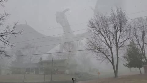 Creature of the Fog...