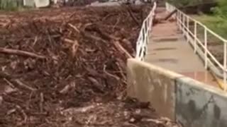 Flash Floods Overwhelm in Arizona
