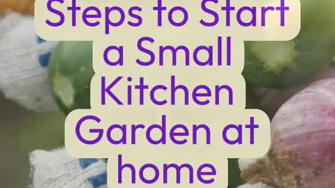 Useful Kitchen Garden Tips 2022