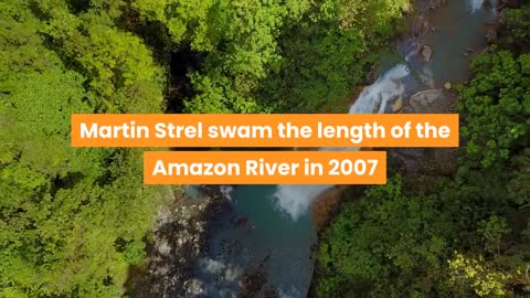 Various facts about the amazon river