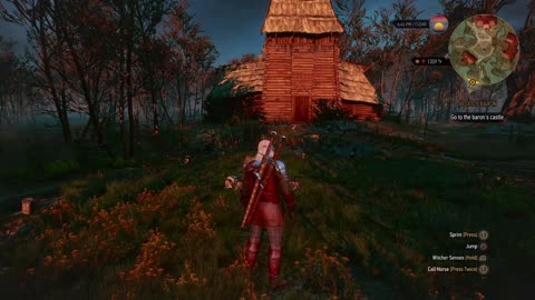 The Witcher 3 - Ladies of the wood