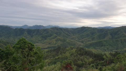 Tala Road Burgos San Jose, Tarlac Philippines