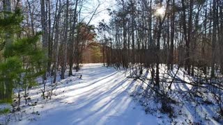 Icy Path in North Carolina