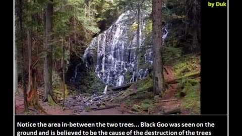Black Goo Explanation & The Locusts of Revelation 9