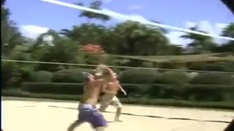 OMG Dog play volleyball