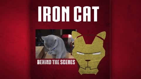 Iron Cat1.0