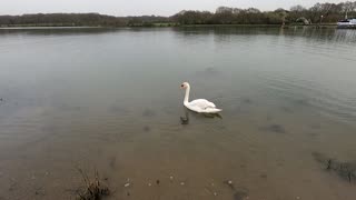 River Hamble country park hike