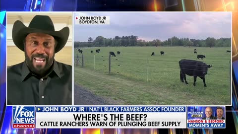 US Meat Ranchers Warn Major Companies Are 'Investing' In Bugs, Calls Low Beef Production 'Crisis'