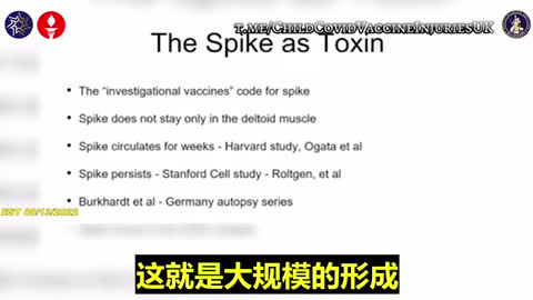 以政治干預、控制醫學，以全方位的謊言掩蓋“真相”_新冠疫苗實驗針劑中的“刺突蛋白”對人體的各種傷害與後遺症，只是“冰山一角”。解毒、解毒、解毒…不可忽視啊！