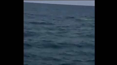 Lights at sea Ufo , underwater ships
