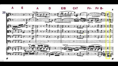 Bach. Brandenburg Concerto No. 5. Allegro. Harpsichord, Bass and Cello.