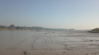 Crocodiles Soaking up Some Sun