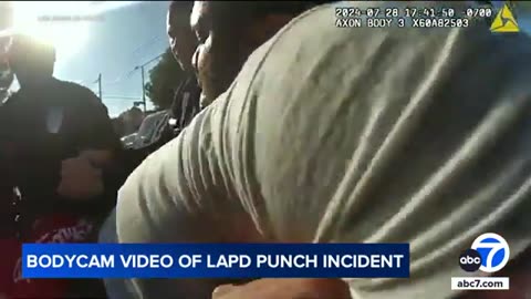 LAPD releases bodycam video of moments leading up to officer punching suspect | ABC7