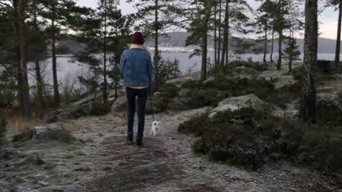 girl is walking with a dog in a stony forest by the lake