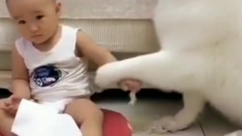 Cutest Babies Play With Dogs And Cats Compilation || Cool Peachy