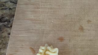 Radiatori is the BEST shape of PASTA for small kids! Fun new food. Your kid uses forks successfully!