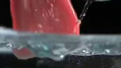 dog drinking water slow motion video,,beautyful slow motion