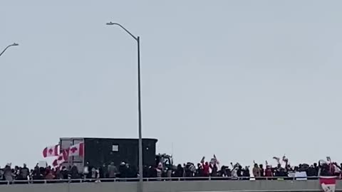 Freedom Convoy 2022 in Vaughan