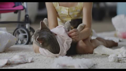 Close up shot of girl putting clothes on cat