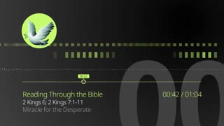 Reading Through the Bible - "Miracle for the Desperate"
