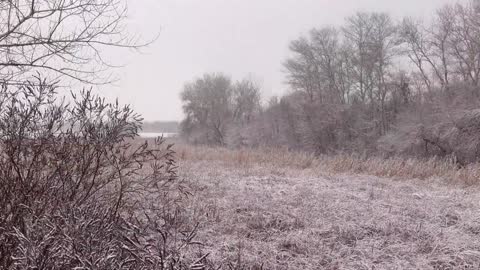 Relaxing STRONG BLIZZARD and BLIZZARD. Soothing WIND NOISE, BLIZZARD SOUNDS