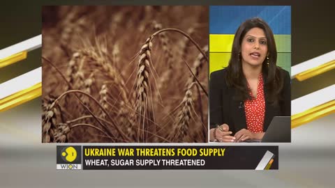 Ukraine war triggers global food crisis