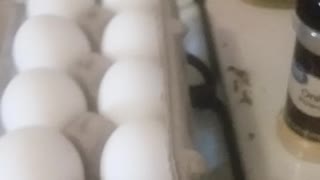 Fresh Healthy Veggie Egg Breakfasf
