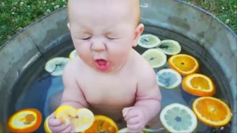 Lemon Eating Reaction Babies - Funny Videos