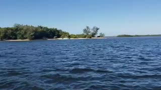 Florida waters