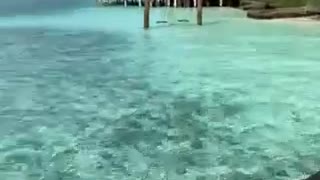 Hello Maldives