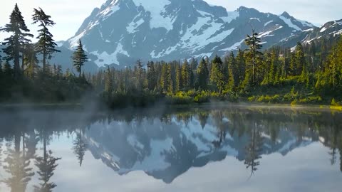 Beautiful morning with a view of Mount Rainier, USA