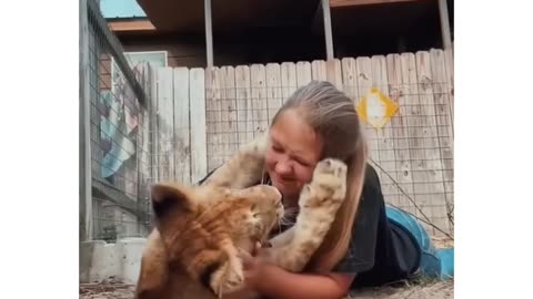 This kind women adopt a lost Lion baby and help him find his family