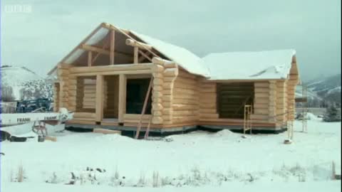 Beavers in the Snow | Beavers: Master Builder | BBC Earth
