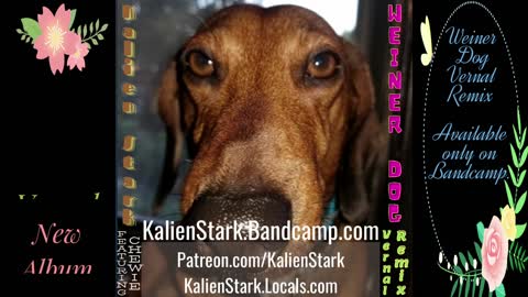Kalien Stark - Weiner Dog Bandcamp exclusive Vernal Remix