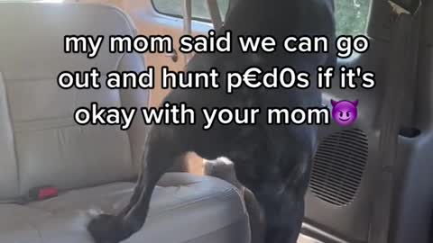 my mom said we can go out and hunt pedOs if it's