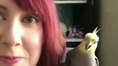 The parrot is imitating her! #parrot, #parrotvideo