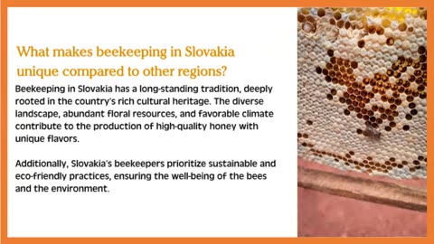 Beekeeping in Slovakia: An Introduction to an Enduring Tradition