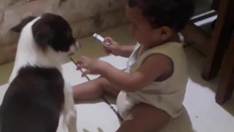 baby and dog love