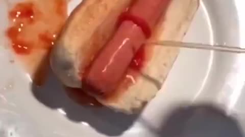 Ketchup Bottle Experience