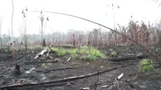 La Amazonía brasileña registra en junio mayor número de incendios desde 2007